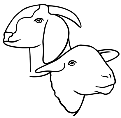 SLO GOATS & SHEEP